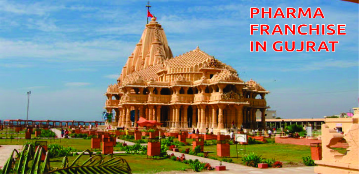 Pharma Franchise Company in Gujarat